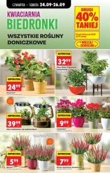 Jeszcze więcej naklejek - Biedronka