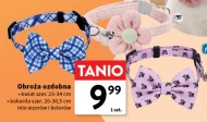 Obroża K!