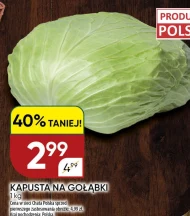 Kapusta Chata polska