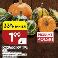 Гарбуз Chata polska