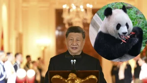 Chiny używają pand wielkich do prowadzenia polityki