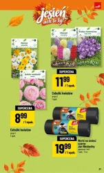Wszystko, co przyda się tej jesieni - POLOmarket