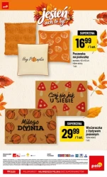 Wszystko, co przyda się tej jesieni - POLOmarket