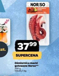 Ośmiornica Norso