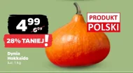 Dynia Polski