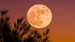 Pełnia Księżyca we wrześniu. Te 3 znaki zodiaku zmienią się najbardziej