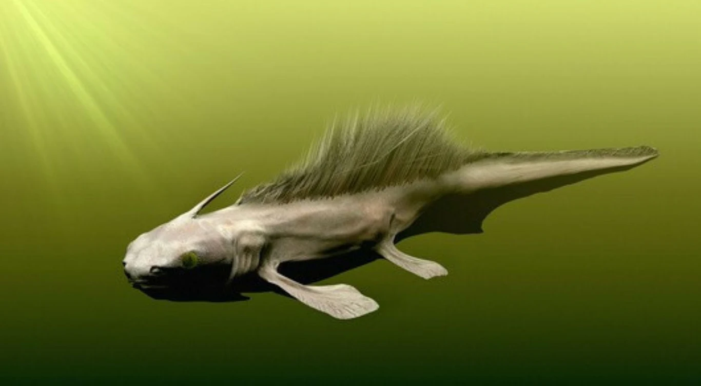 Listracanthus - rekin z późnego karbonu. Te kolce na grzbiecie pewnie służyły do obrony Fantazyjne stworzenie przypominające płaza z długimi kończynami, wydłużonym ciałem, kolczastą płetwą na grzbiecie oraz zielonym zabarwieniem skóry, unoszące się w zielonkawej wodzie.