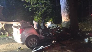 Tragiczny wypadek w Przewozie. Nie żyje młody mężczyzna