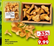 Kurki Netto