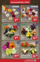 Szeroka oferta zniczy! - Aldi