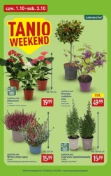 Ceny lecą w dół od poniedziałku - Aldi