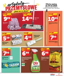 Wszystkie znicze 3+1 za grosz - Topaz