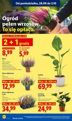 Lidl nowym sponsorem reprezentacji