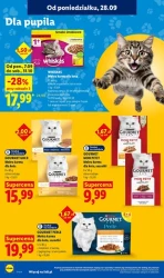 Lidl — новий спонсор національної збірної