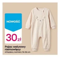 Pajac chłopięcy