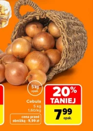 Cebula