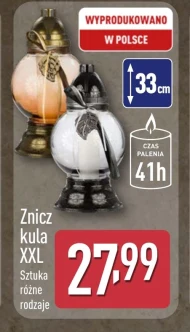 Znicz