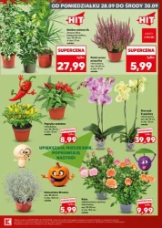Jeszcze więcej promocji - Kaufland