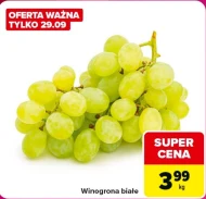 Виноград Białe