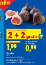 Figi Plus-Plus