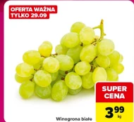 Виноград Białe