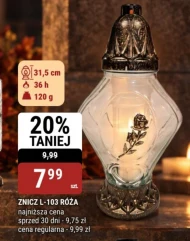 Znicz