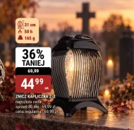 Znicz