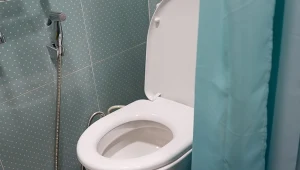 Białe toalety wychodzą z mody. Teraz hitem jest ten kolor