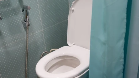Jeśli planujesz remont łazienki, rozważ wymianę toalety. Te białe powoli wychodzą z mody