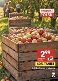 Jabłka Polski