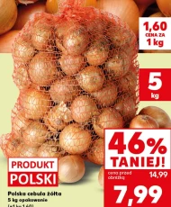 Cebula Polski