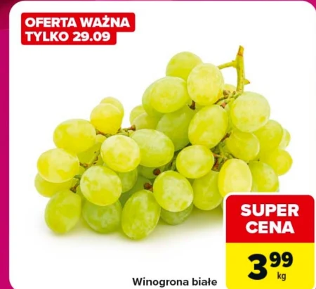 Виноград Białe