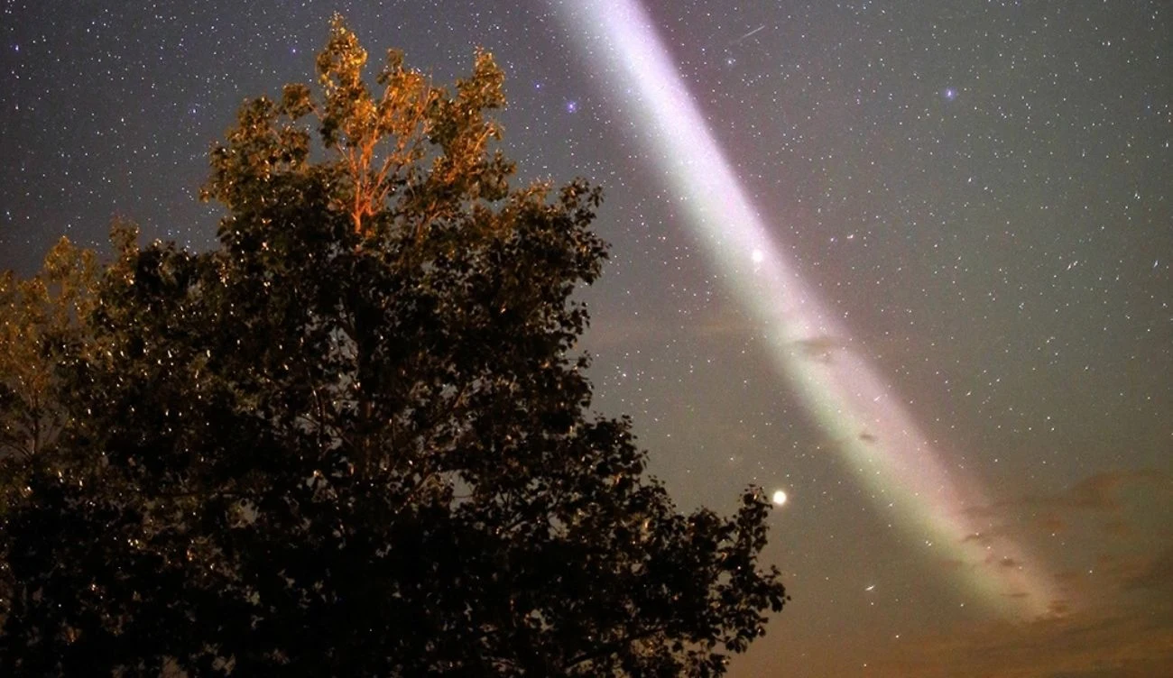 STEVE nad Little Bow Resort w Albercie w sierpniu 2015 roku Drzewo na pierwszym planie, a nad nim nocne niebo z jasną wstęgą STEVE.