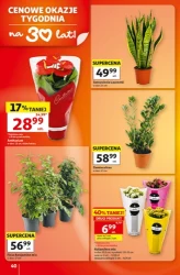 «Орли заощадження» — 30 років — Гіпермаркет Auchan