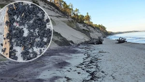Podejrzana substancja nad Bałtykiem. Zamknięto plaże, urząd ostrzega
