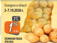 Ziemniaki Białe