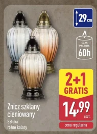 Znicz