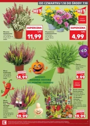 Najlepsze świeże produkty - Kaufland