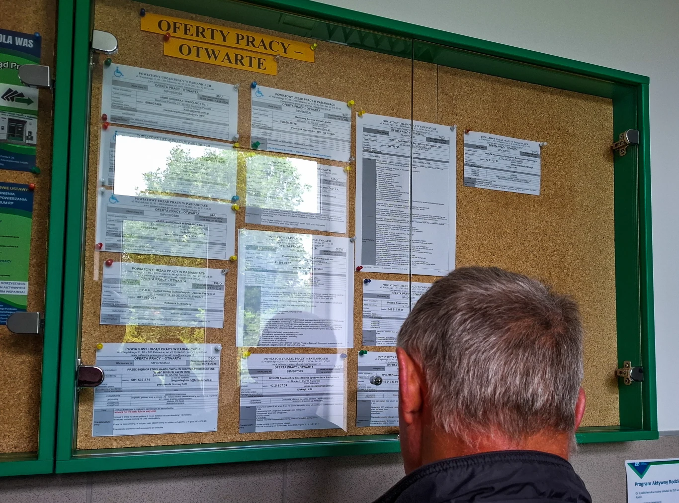 Praca w Lubinie. Miasto zwraca uwagę na aktualne oferty. Osoba ogląda ogłoszenia o pracy na tablicy informacyjnej za szybą, kontekst ofert pracy w Lubinie.