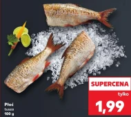 Płoć