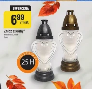 Znicz