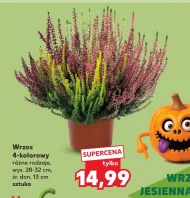 Хізер