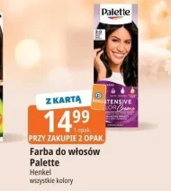 Farba do włosów Palette