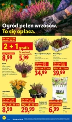 Nowy miesiąc, nowa porcja okazji - Lidl