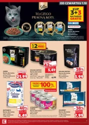 Zadbaj o swojego pupila - Kaufland