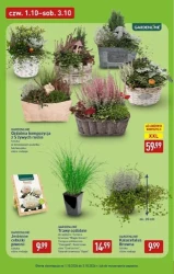 Weekend wpada z dobrą ofertą - Aldi