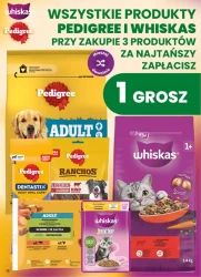 Koszyk pełen smaków na październik - Dino