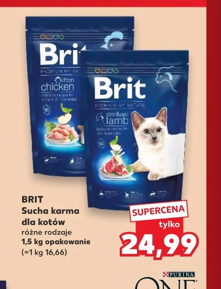 Корм для котів Brit