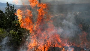 Fale upałów oraz liczne pożary lasów przyczyniły się w 2026 roku do znacznego pogorszenia jakości powietrza