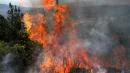 Fale upałów oraz liczne pożary lasów przyczyniły się w 2026 roku do znacznego pogorszenia jakości powietrza
